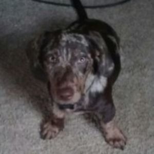 Meet your Posher, Sharon